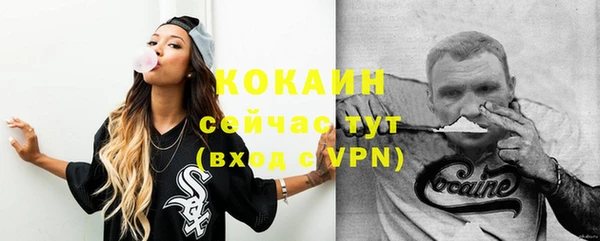 индика Новочеркасск