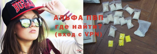 индика Новочеркасск