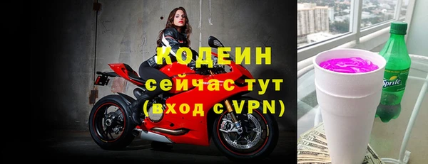 индика Новочеркасск