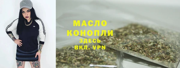 индика Новочеркасск