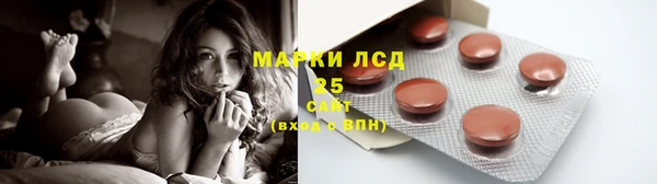 индика Новочеркасск