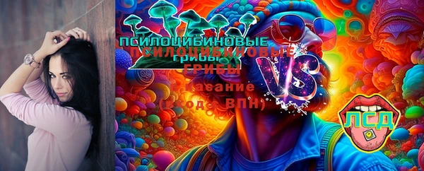 индика Новочеркасск