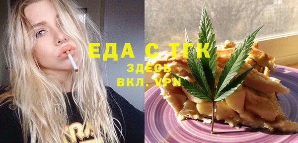 индика Новочеркасск