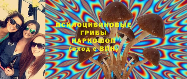 индика Новочеркасск