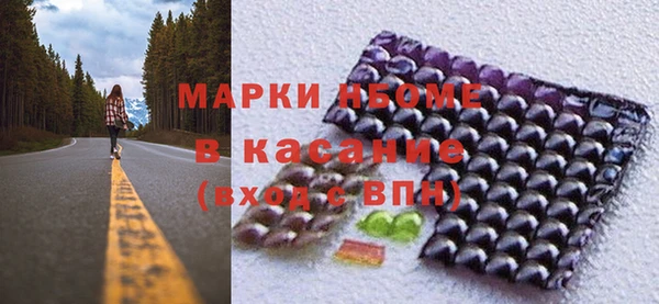 индика Новочеркасск