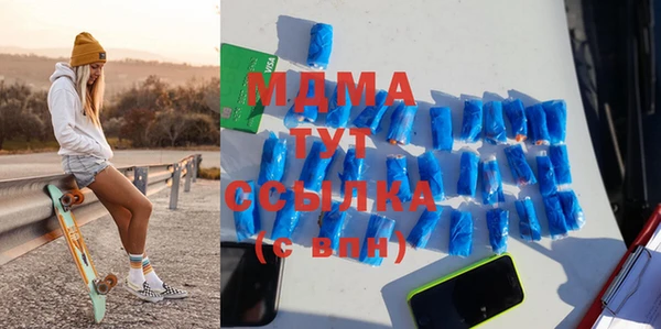 индика Новочеркасск