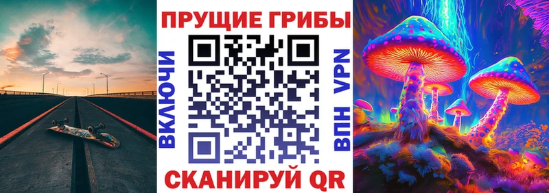 Галлюциногенные грибы прущие грибы  Арамиль 